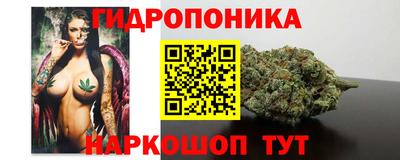spice Аргун