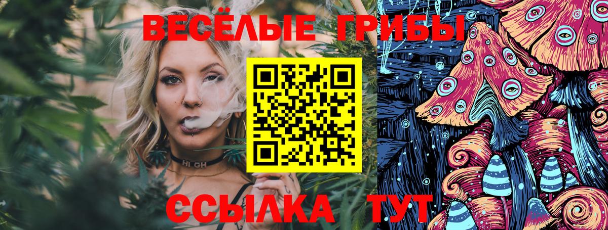 Галлюциногенные грибы Cubensis  Вход с VPN  Бийск 